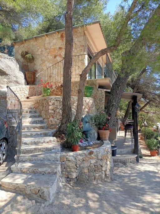 Maison Exceptionnelle Hébergement de vacances *